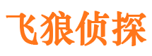 南宫市私人侦探